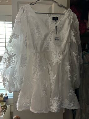 White Sheer Embroidered Mini Dress